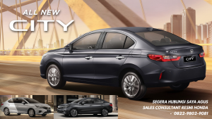 Read more about the article Honda City